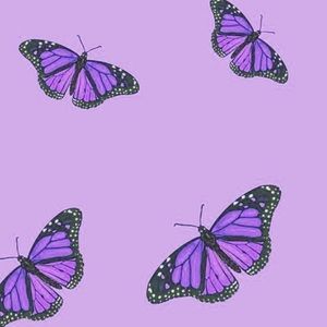 COPY - Like To Be Notified When I Go LIVE!!!